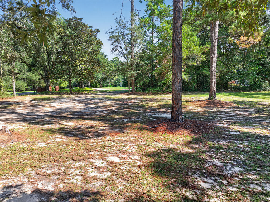 20 Oak Lane, Moultrie, Georgia 31768, 4 Bedrooms Bedrooms, ,4 BathroomsBathrooms,Single Family,For Sale,Oak Lane,915952