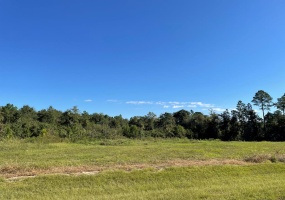 00 STAR CIRCLE, Norman Park, Georgia 31771, ,Residential lot,For Sale,STAR CIRCLE,911307