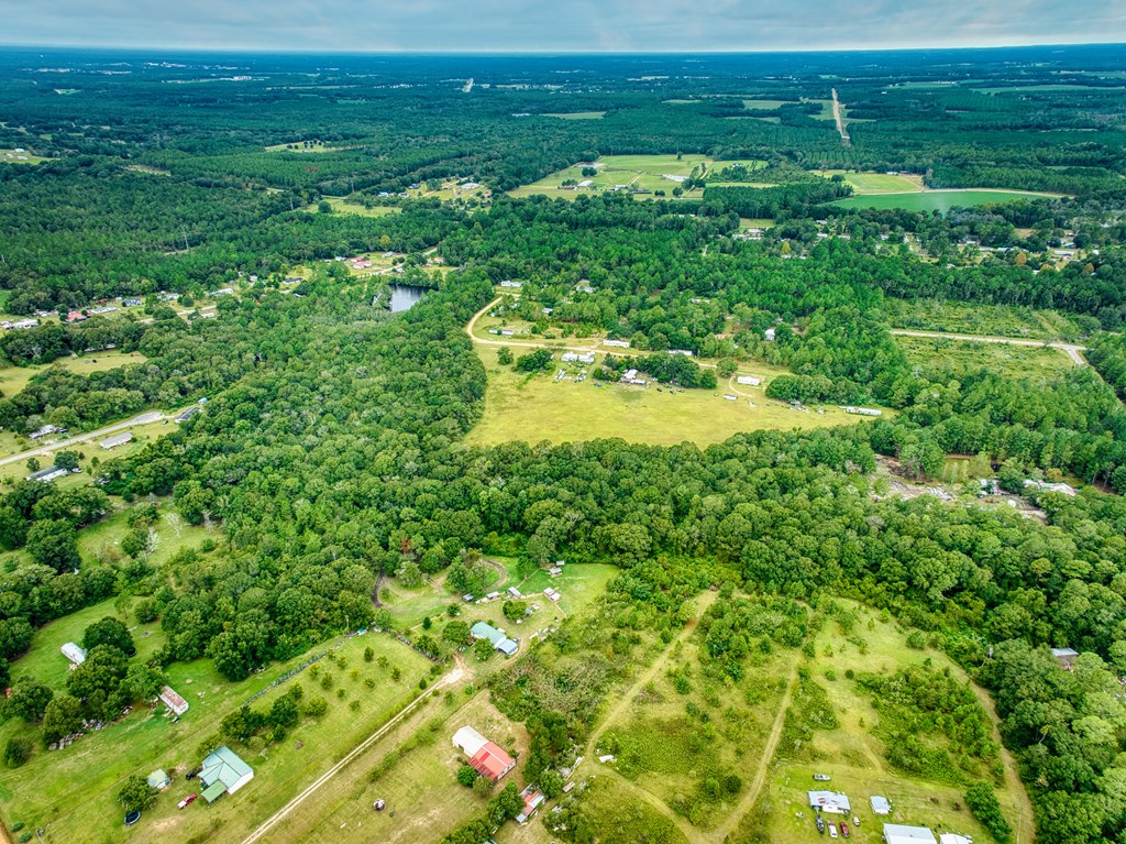 0 Mark Orton Lane, Moultrie, Georgia 31771, ,Acreage,For Sale,Mark Orton Lane,912925