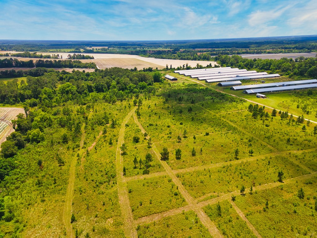 0 George Flowers, Norman Park, Georgia 31771, ,Farm (20 Or More Acres) - Land,For Sale,George Flowers,912987