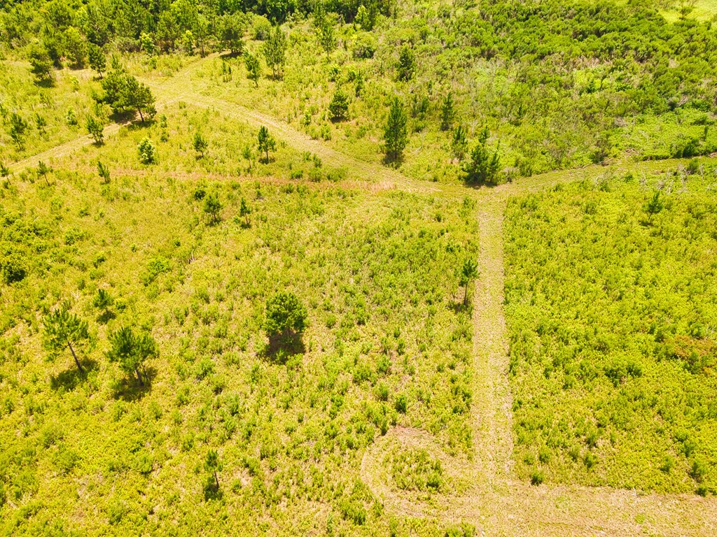 0 George Flowers, Norman Park, Georgia 31771, ,Farm (20 Or More Acres) - Land,For Sale,George Flowers,912987