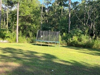 100 Wacamaw Road, Moultrie, Georgia 31788, 4 Bedrooms Bedrooms, ,3 BathroomsBathrooms,Single Family,For Sale,Wacamaw Road,913110