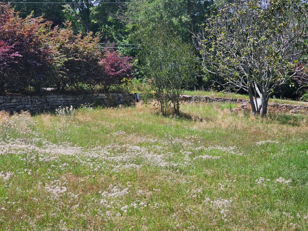 303 Clubview Dr, Moultrie, Georgia 31768, ,Residential lot,For Sale,Clubview Dr,913164