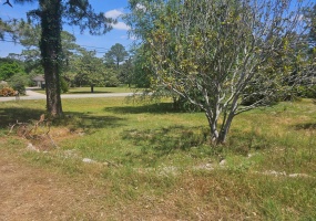 303 Clubview Dr, Moultrie, Georgia 31768, ,Residential lot,For Sale,Clubview Dr,913164