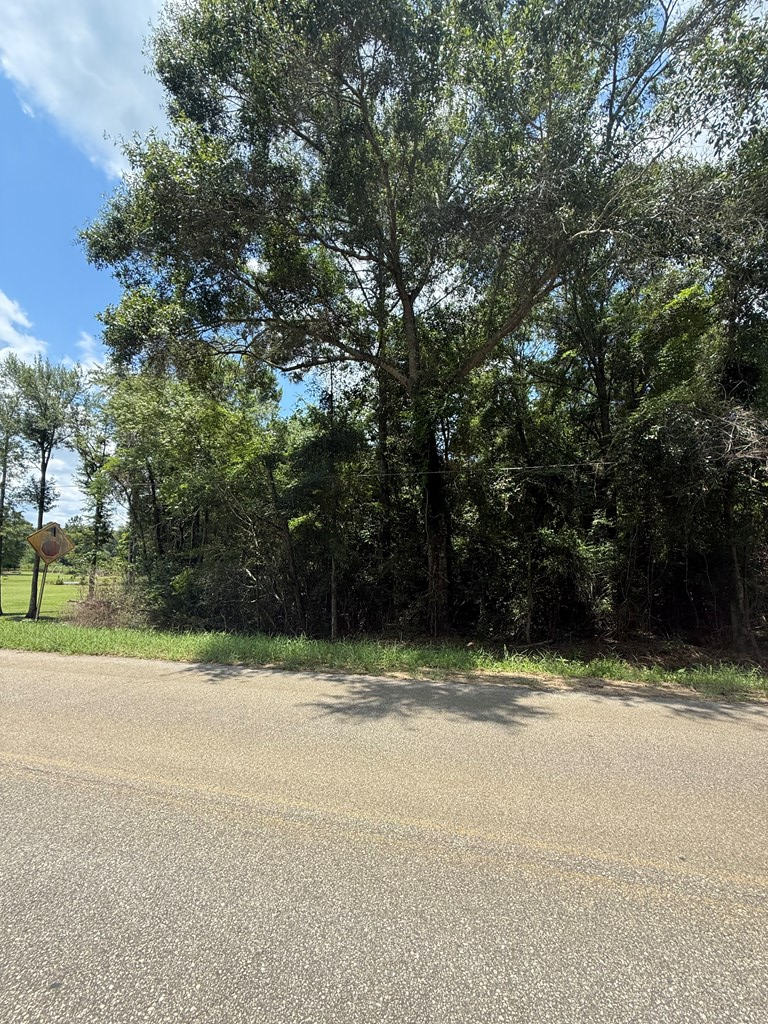 0 Sleepy Bear Road, Norman Park, Georgia 31771, ,Residential lot,For Sale,Sleepy Bear Road,913275