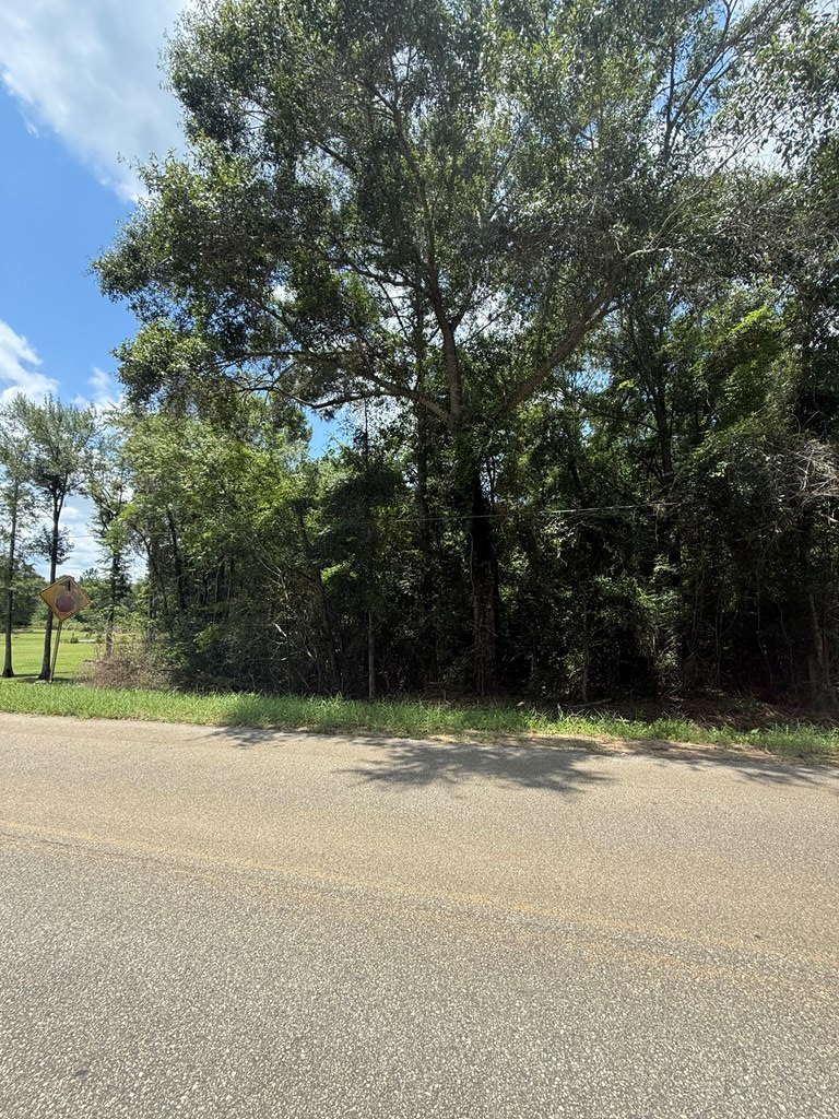 0 Sleepy Bear Road, Norman Park, Georgia 31771, ,Residential lot,For Sale,Sleepy Bear Road,913275