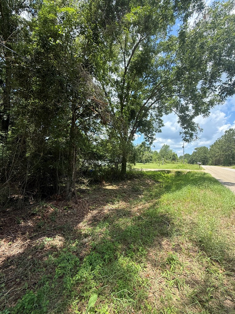 0 Sleepy Bear Road, Norman Park, Georgia 31771, ,Residential lot,For Sale,Sleepy Bear Road,913275