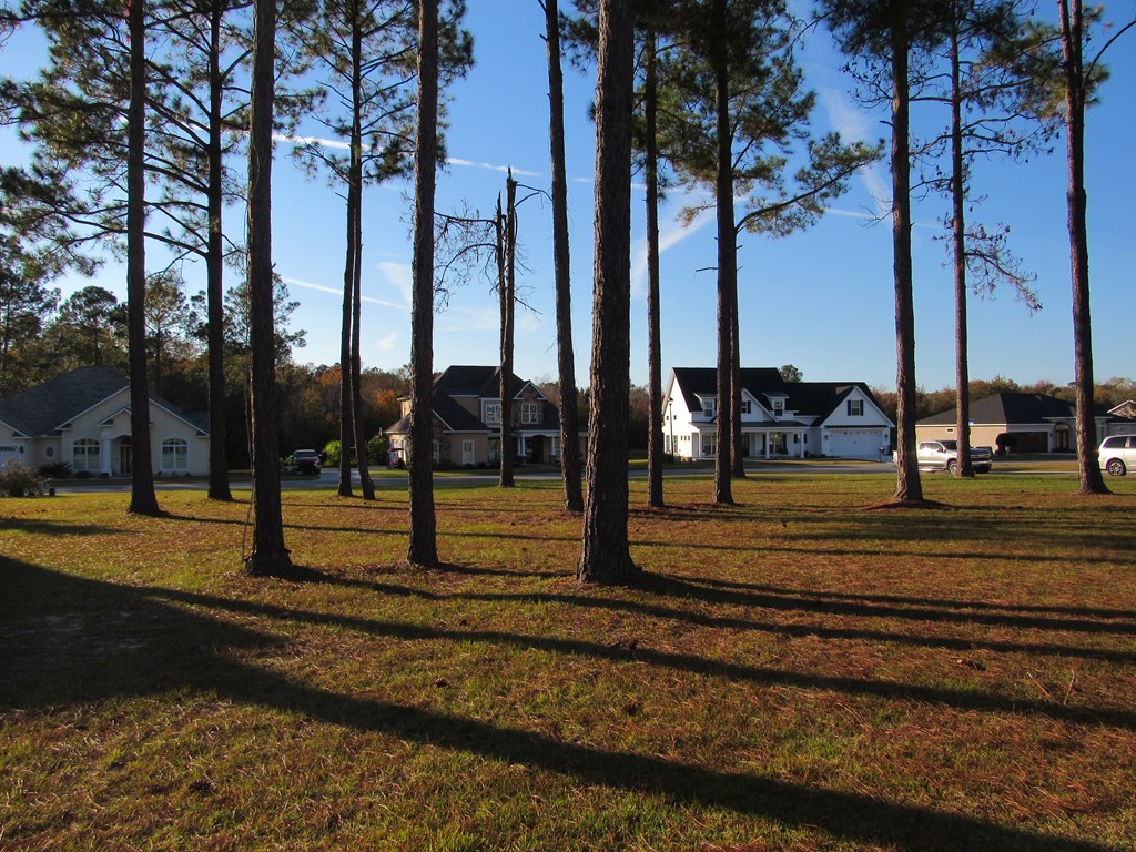 85 Cobblestone Blvd. SE, Moultrie, Georgia 31788, ,Residential lot,For Sale,Cobblestone Blvd. SE,913480 85 Cobblestone Blvd. SE, Moultrie, Georgia 31788, ,Residential lot,For Sale,Cobblestone Blvd. SE,913480