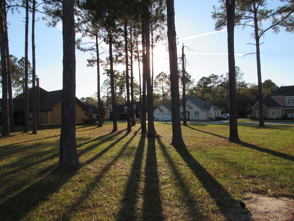 85 Cobblestone Blvd. SE, Moultrie, Georgia 31788, ,Residential lot,For Sale,Cobblestone Blvd. SE,913480 85 Cobblestone Blvd. SE, Moultrie, Georgia 31788, ,Residential lot,For Sale,Cobblestone Blvd. SE,913480