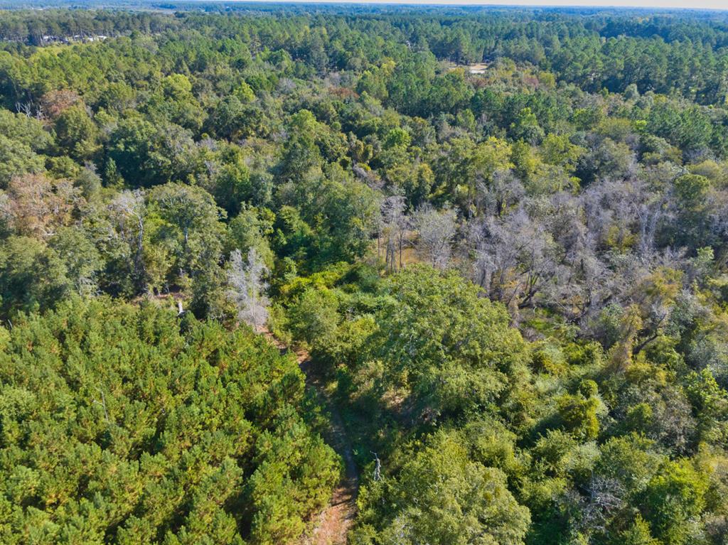 0 Georgia Highway 33 South, Moultrie, Georgia 31788, ,Acreage,For Sale,Georgia Highway 33 South,913496