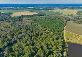 0 Georgia Highway 33 South, Moultrie, Georgia 31788, ,Acreage,For Sale,Georgia Highway 33 South,913496