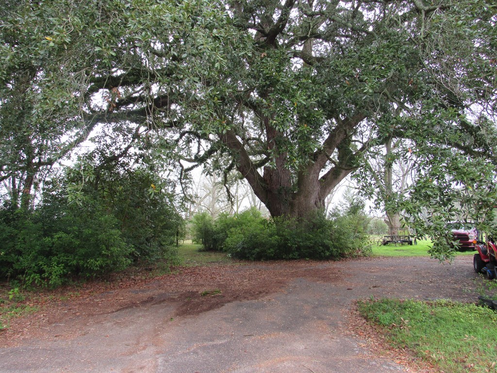 581 Harris ST, Pavo, Georgia 31778, 3 Bedrooms Bedrooms, ,2 BathroomsBathrooms,Single Family,For Sale,Harris ST,913560 581 Harris ST, Pavo, Georgia 31778, 3 Bedrooms Bedrooms, ,2 BathroomsBathrooms,Single Family,For Sale,Harris ST,913560
