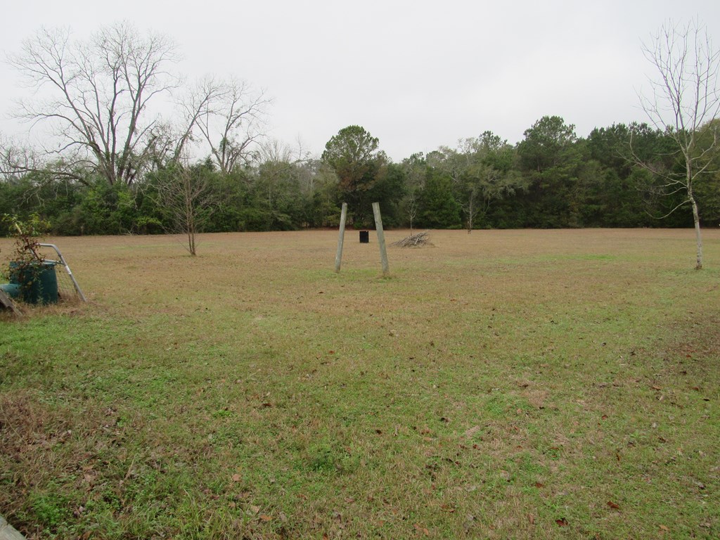 581 Harris ST, Pavo, Georgia 31778, 3 Bedrooms Bedrooms, ,2 BathroomsBathrooms,Single Family,For Sale,Harris ST,913560 581 Harris ST, Pavo, Georgia 31778, 3 Bedrooms Bedrooms, ,2 BathroomsBathrooms,Single Family,For Sale,Harris ST,913560