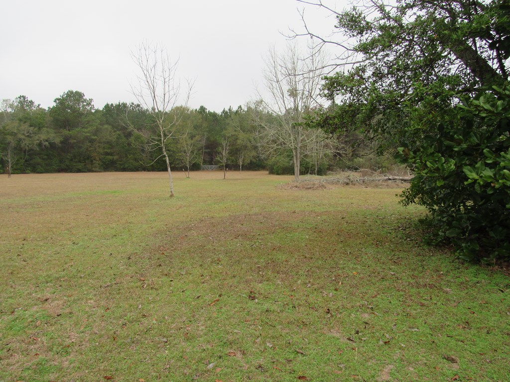 581 Harris ST, Pavo, Georgia 31778, 3 Bedrooms Bedrooms, ,2 BathroomsBathrooms,Single Family,For Sale,Harris ST,913560 581 Harris ST, Pavo, Georgia 31778, 3 Bedrooms Bedrooms, ,2 BathroomsBathrooms,Single Family,For Sale,Harris ST,913560