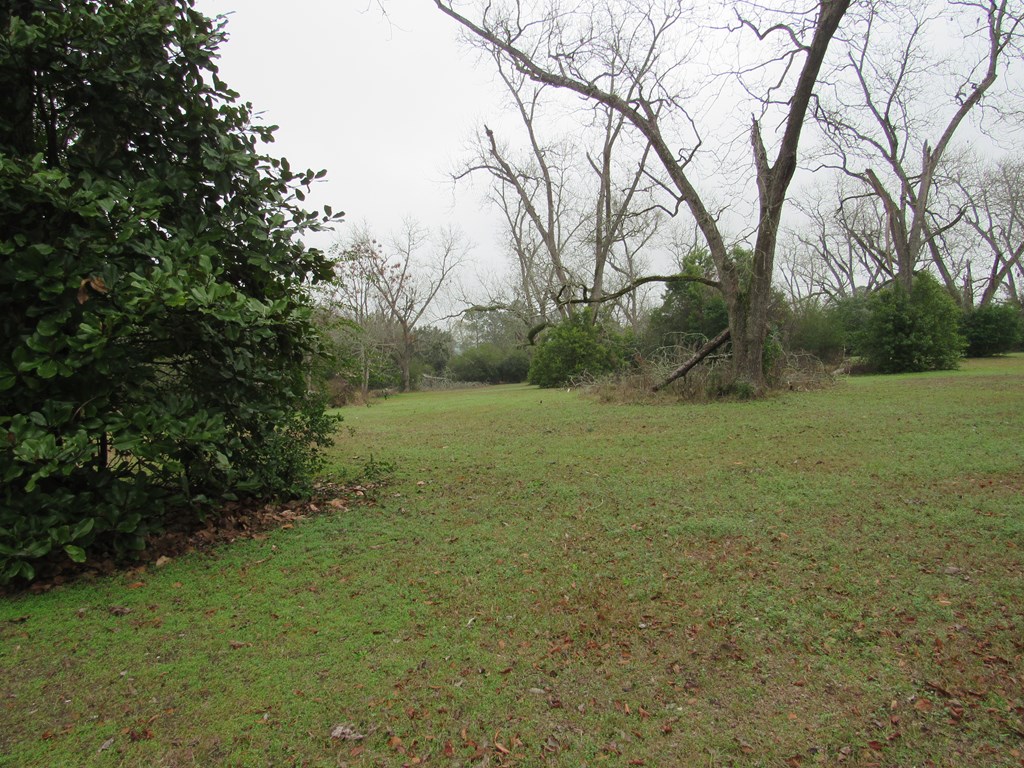581 Harris ST, Pavo, Georgia 31778, 3 Bedrooms Bedrooms, ,2 BathroomsBathrooms,Single Family,For Sale,Harris ST,913560 581 Harris ST, Pavo, Georgia 31778, 3 Bedrooms Bedrooms, ,2 BathroomsBathrooms,Single Family,For Sale,Harris ST,913560